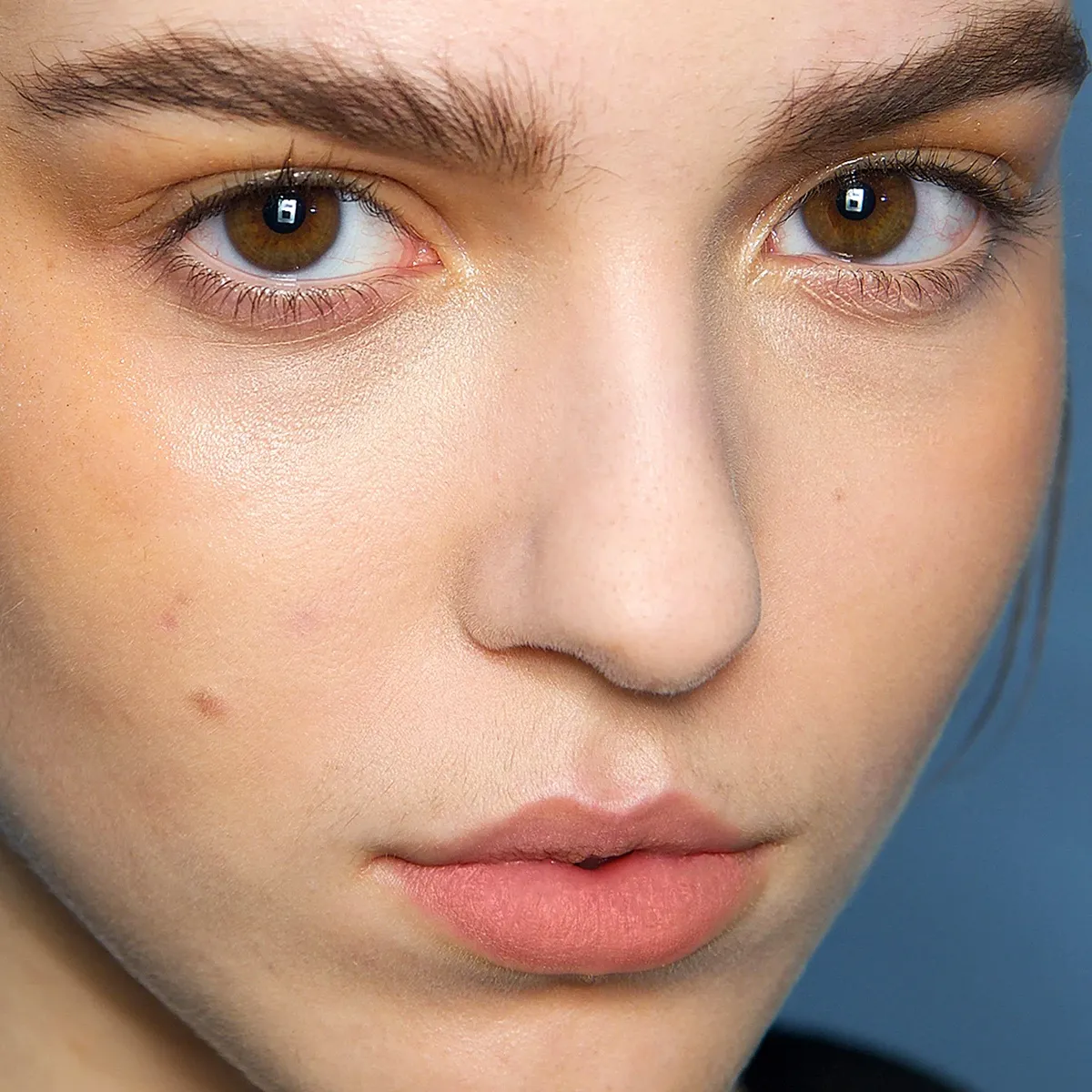 Närbild på ett ansikte med naturlig makeup och välformade ögonbryn.