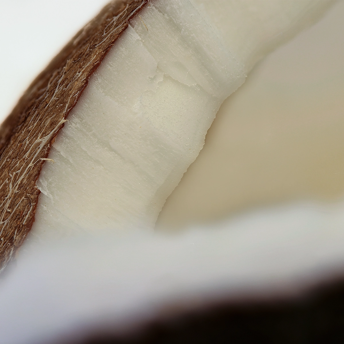Nærbilde av hvitt kokoskjøtt med brunt, fiberrikt kokosnøttskall langs kanten.