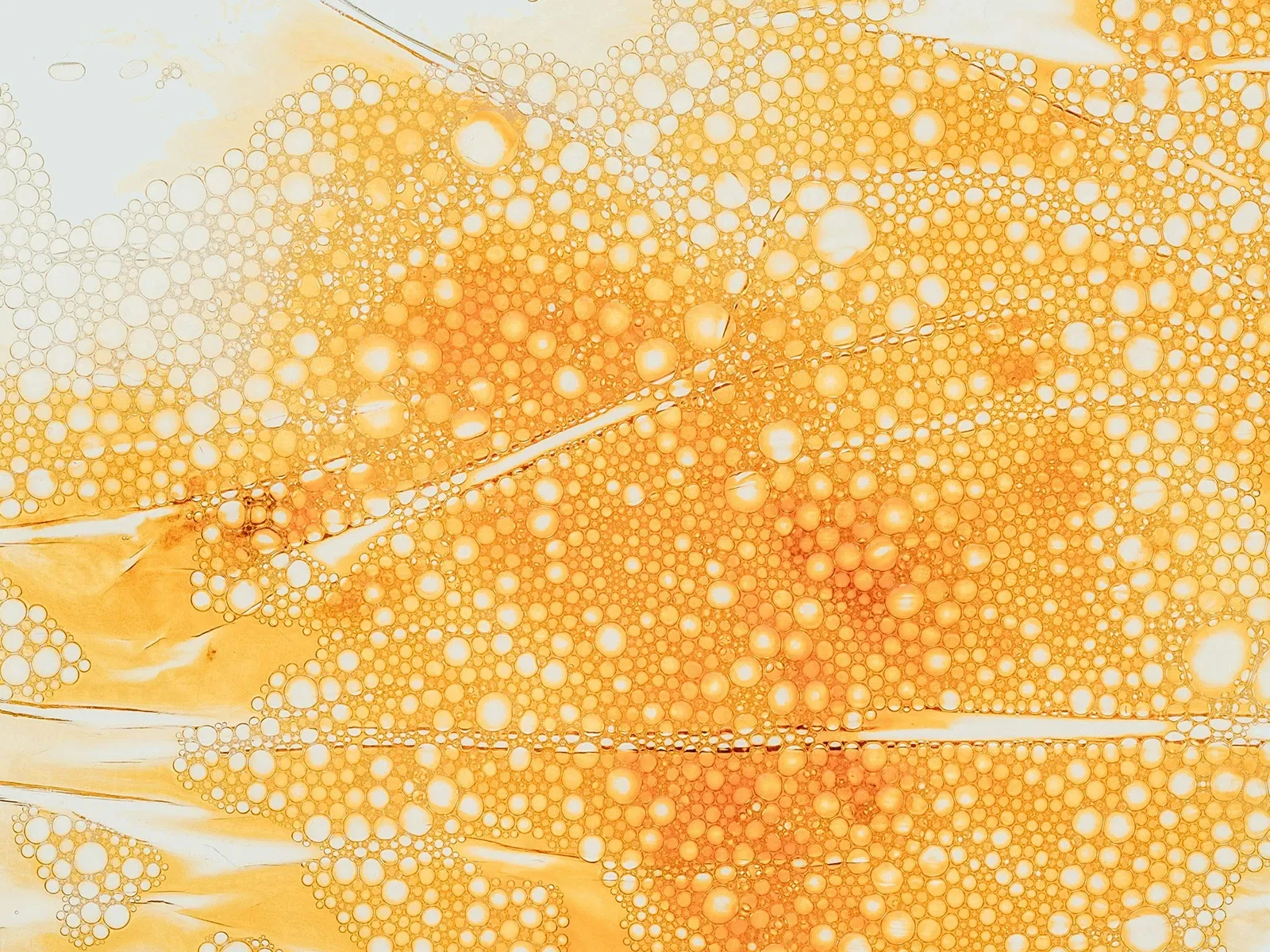 Askorbiinihappoa, jossa on paljon pieniä, pyöreitä kuplia oranssin ja keltaisen eri sävyissä.