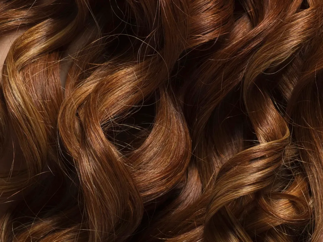 Brune og røde, store og blanke krøller.