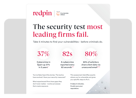 Security Assessment Flyer EN